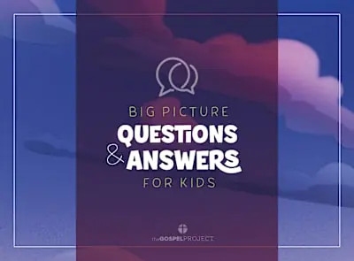 Affordable Big Picture Questions and Answers PKG 10