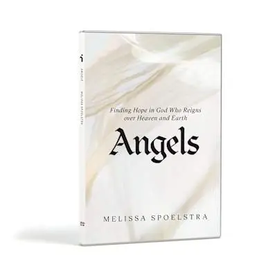 Place Order Angels - DVD Set