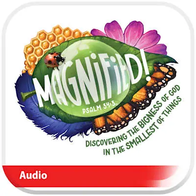 VBS 2025 Music Stem Mixes Latest