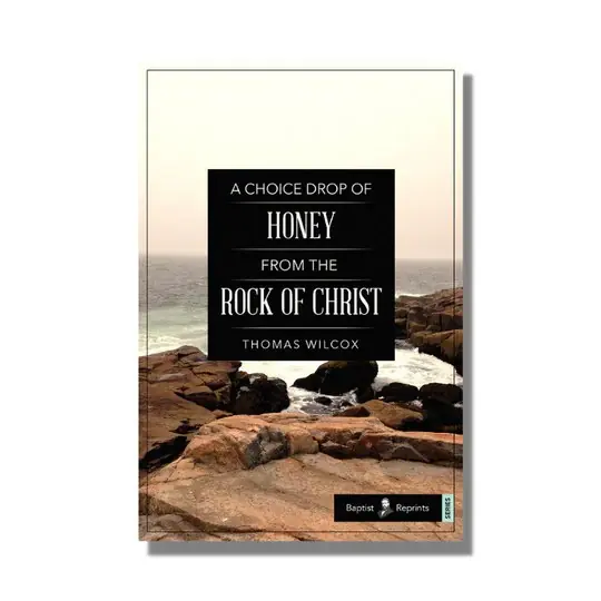 A Choice Drop of Honey from the Rock of Christ (Thomas Wilcox) Same Day Shipping