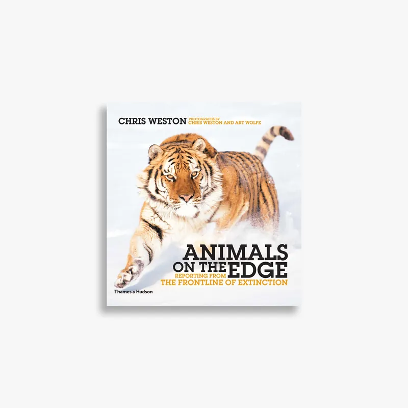 Handmade Animals on the Edge