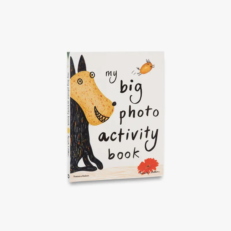 My Big Photo Activity Book Instant Buy