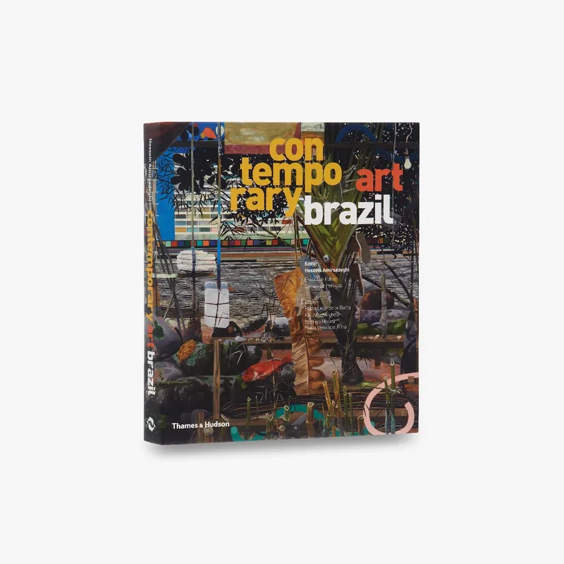 Contemporary Art Brazil Modern