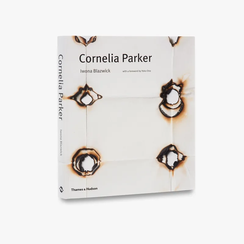 Cornelia Parker Top Rated