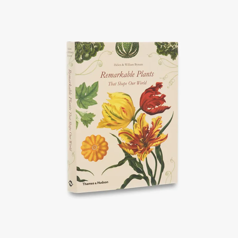 Budget Remarkable Plants That Shape Our World