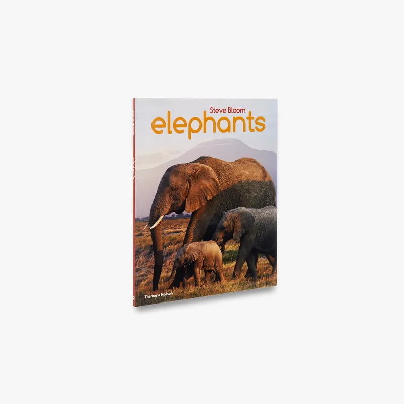 Authentic Elephants