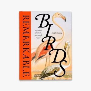 Remarkable Birds Budget
