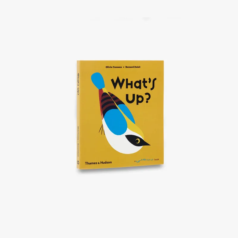 Hot Deal What's Up? (A Flip Flap Pop Up Book)
