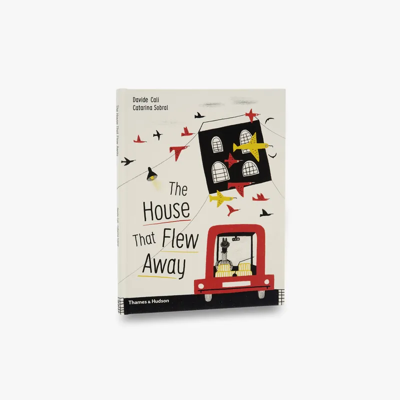 The House that Flew Away Direct From Factory