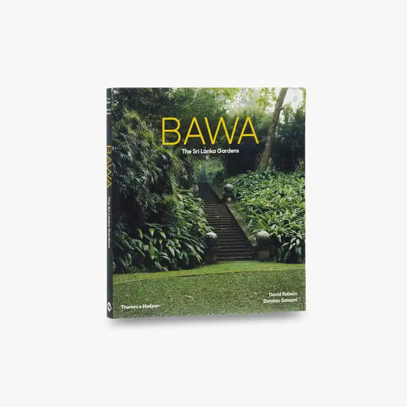 Limited Offer Bawa