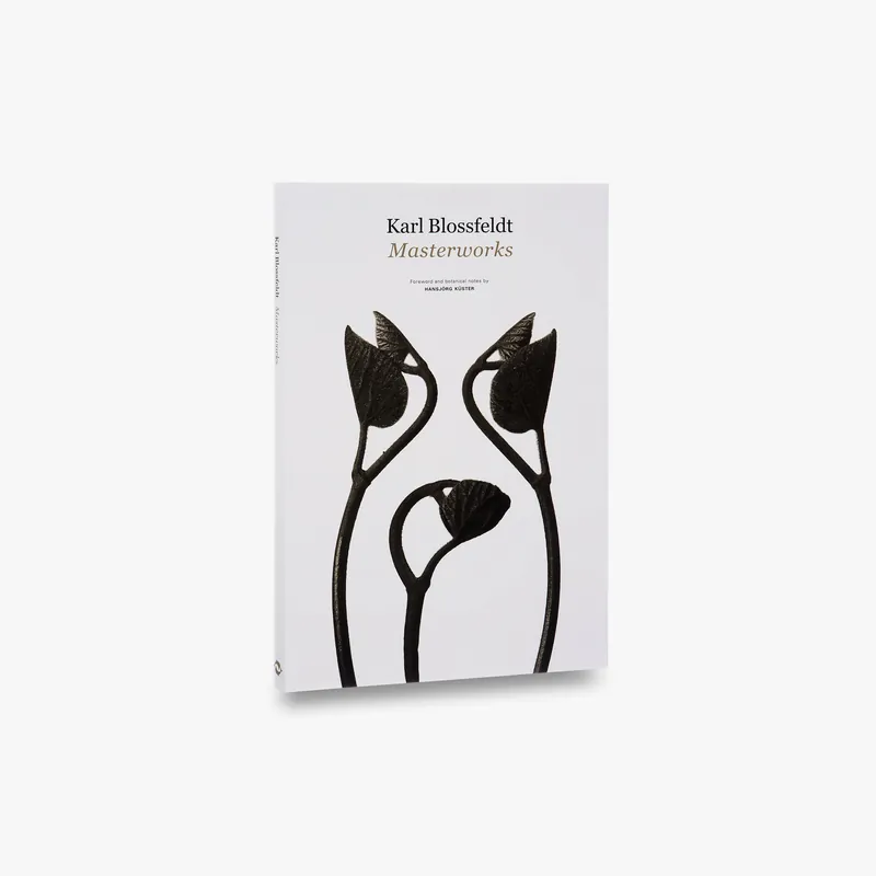 Hot Picks Karl Blossfeldt: Masterworks