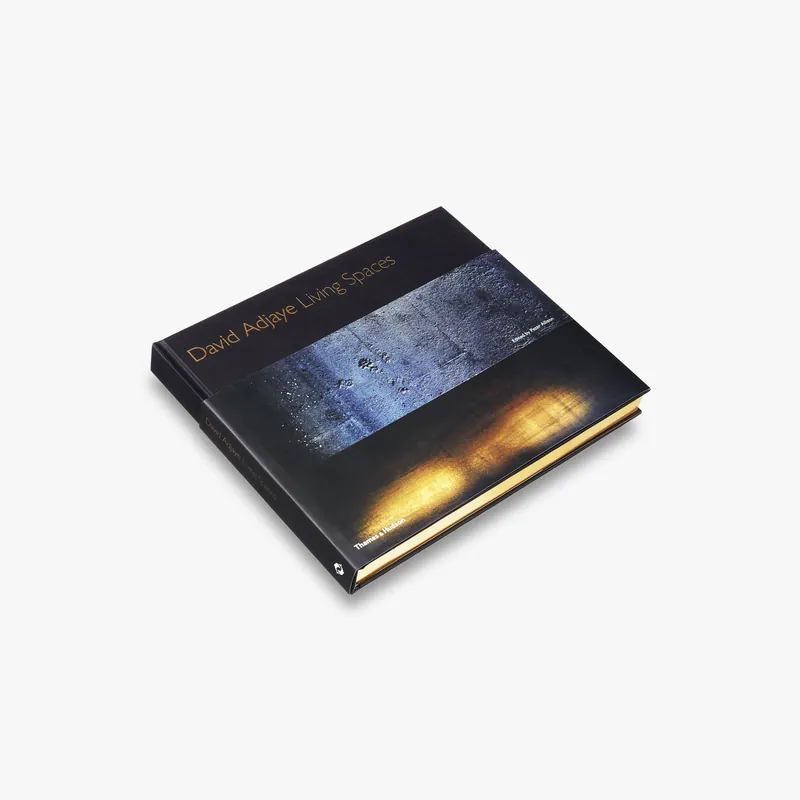 Next Day Delivery David Adjaye