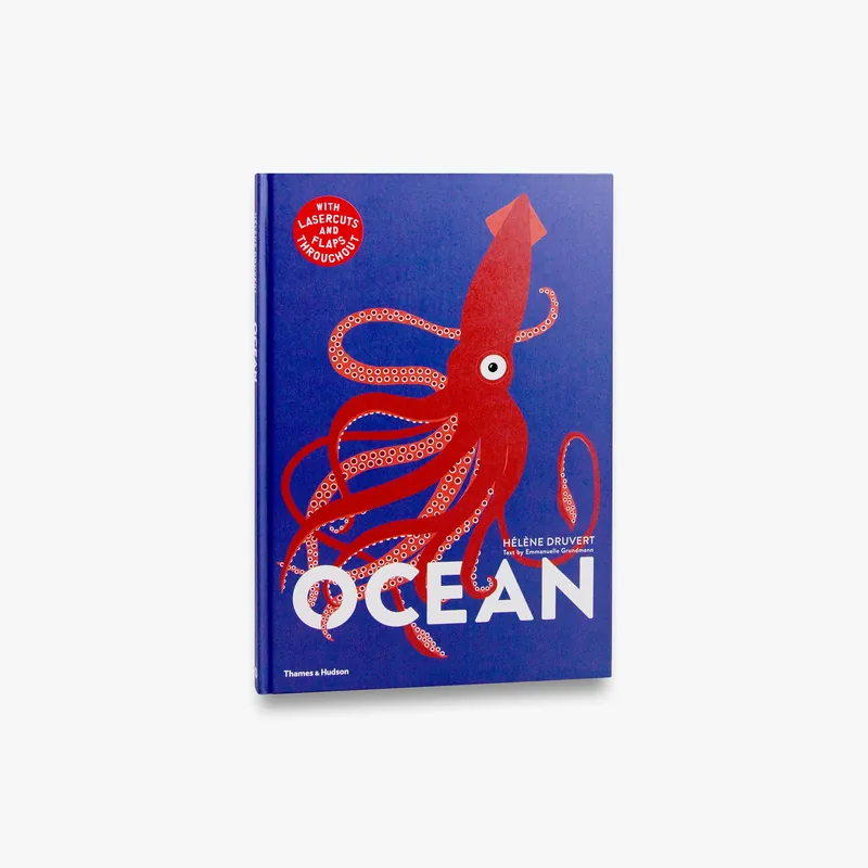 Ocean Same Day Shipping