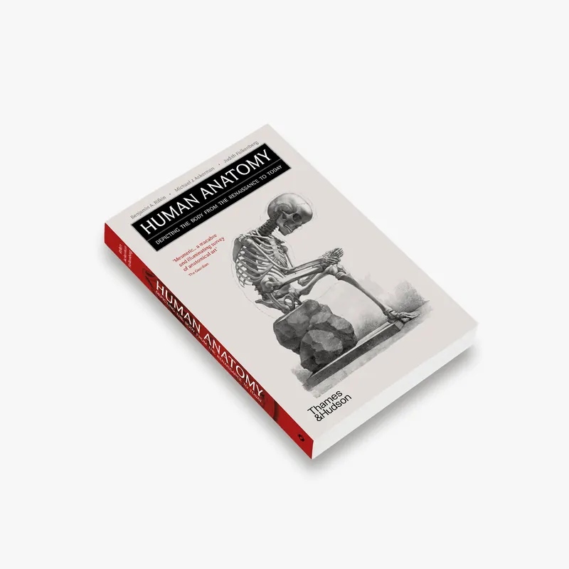 Fresh Stock Human Anatomy