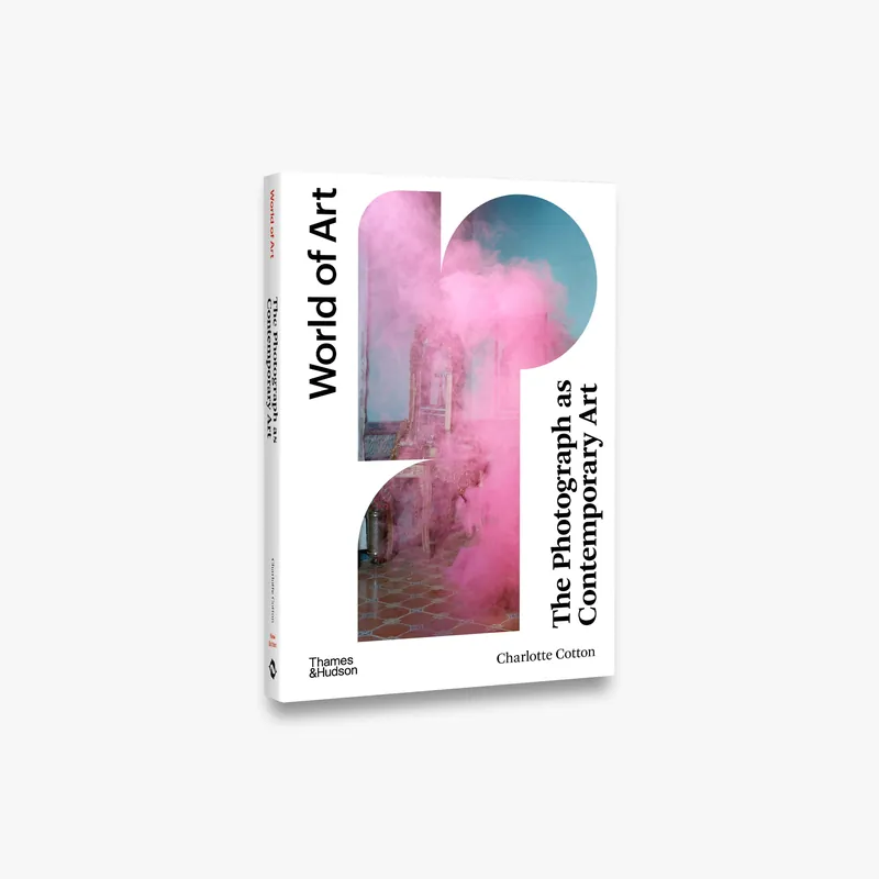 Fresh Stock The Photograph as Contemporary Art (World of Art)