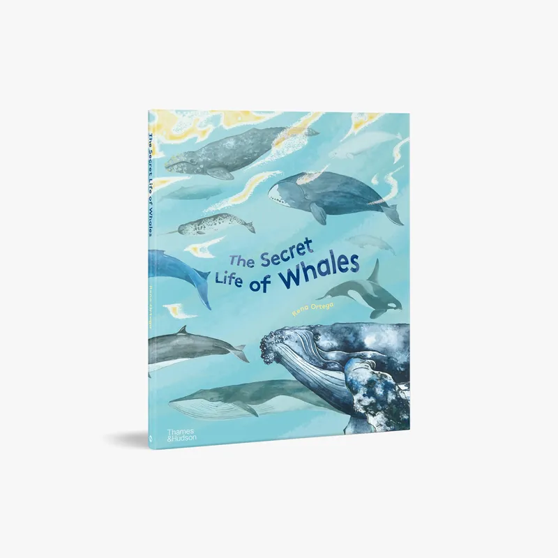 The Secret Life of Whales Discount