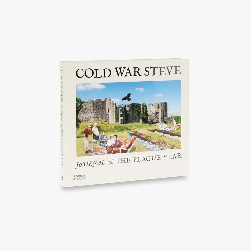 Crafted Cold War Steve – Journal of The Plague Year