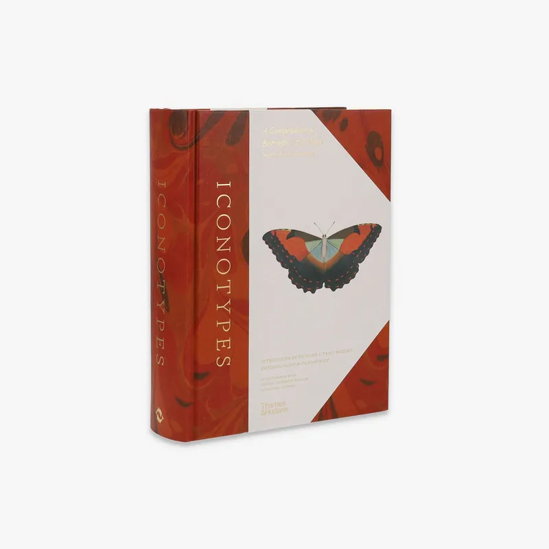 One Day Deal Iconotypes