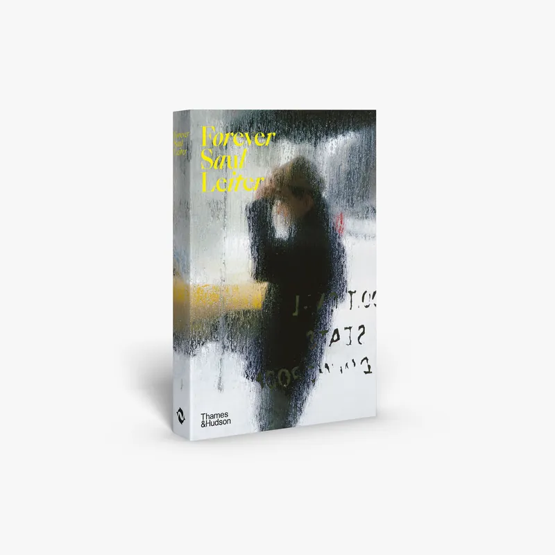 Forever Saul Leiter Cheap