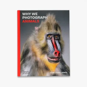 Why We Photograph Animals Instant Buy