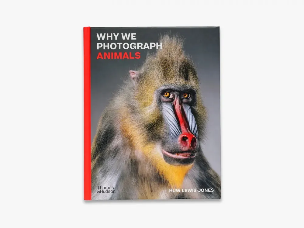 Why We Photograph Animals Instant Buy