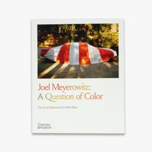 Joel Meyerowitz: A Question of Color Reduced Price
