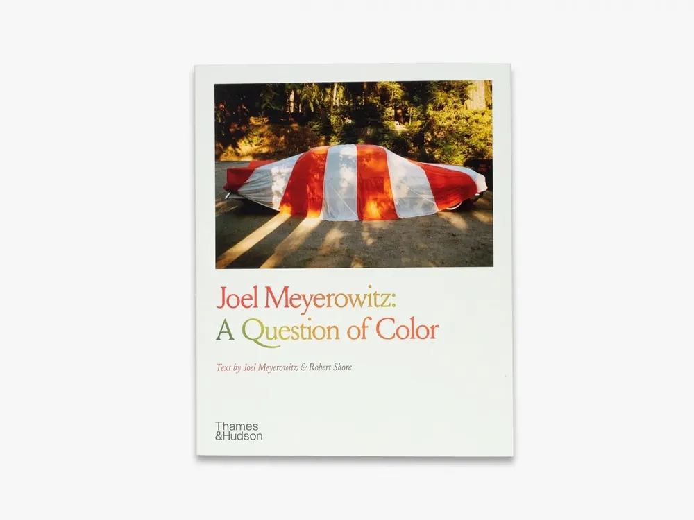 Joel Meyerowitz: A Question of Color Reduced Price
