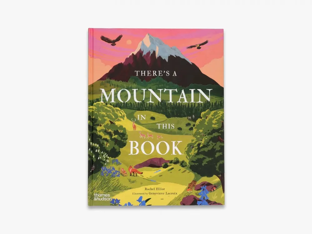 Warranty Included There's a Mountain in This Book (Young Explorers series)