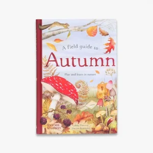 A Field Guide to Autumn (Field Guide series) New Arrival