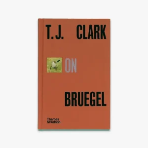 Sale T.J. Clark on Bruegel (Pocket Perspectives)