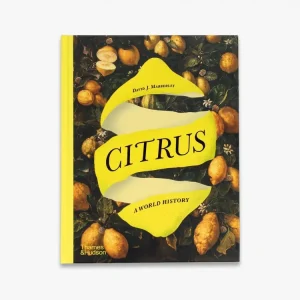 Citrus Hassle-Free Returns