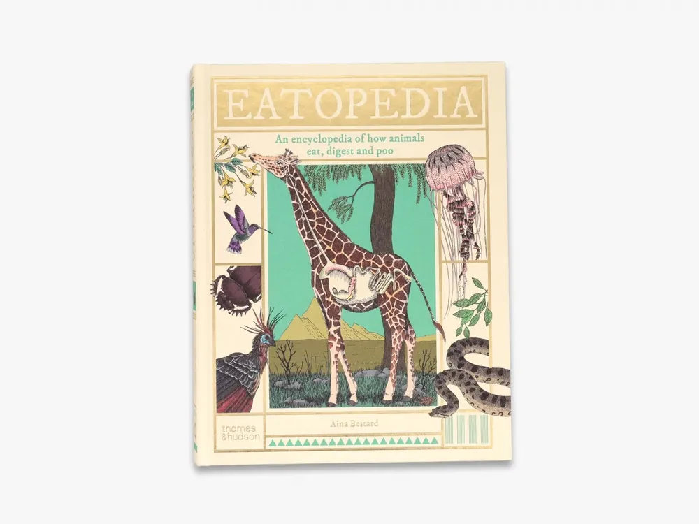 Brand New Eatopedia