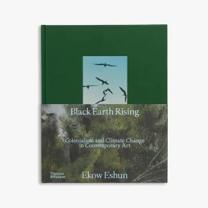 Black Earth Rising Instant Buy