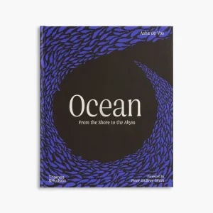 Ocean Big Sale