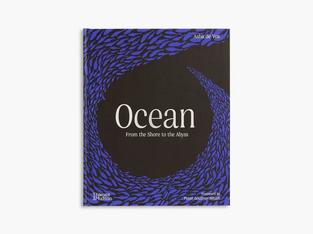 Ocean Big Sale
