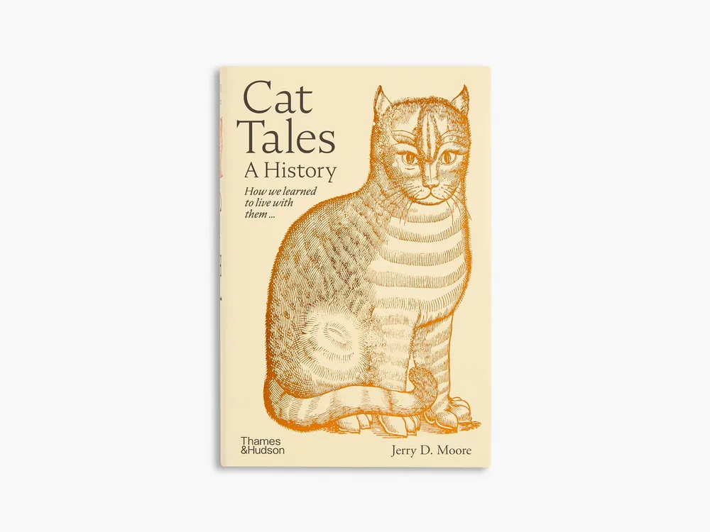 Cat Tales Fast Shipping