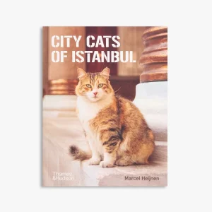 Save Now City Cats of Istanbul