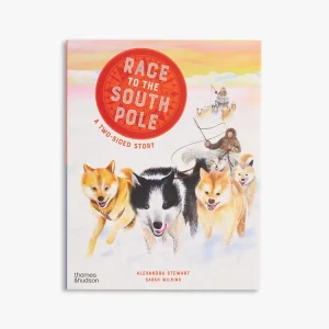 Race to the South Pole (Two-sided Stories series) Next Day Delivery