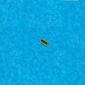 Today Only Small boat