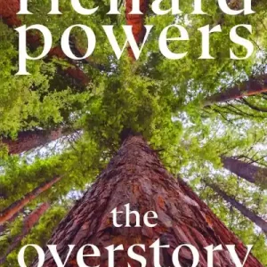 The overstory Trusted Brand